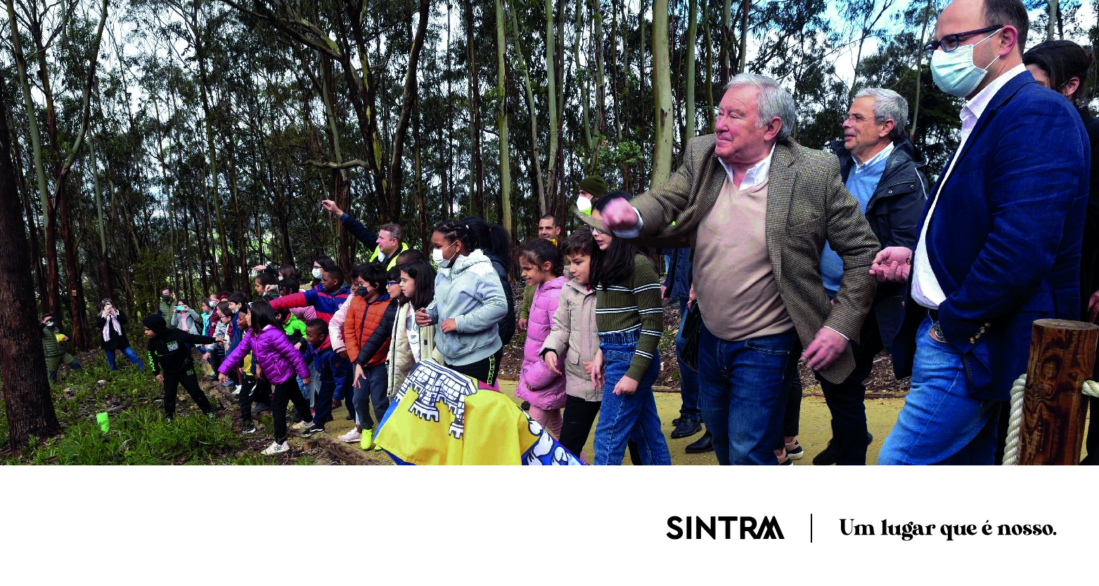 Sintra assinalou o Dia Mundial da Árvore com plantações por todo o concelho